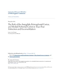 The Role of the Amygdala, Retrosplenial Cortex, and Medial