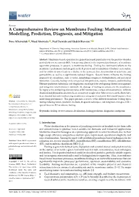 A Comprehensive Review on Membrane Fouling: Mathematical Modelling, Prediction, Diagnosis, and Mitigation