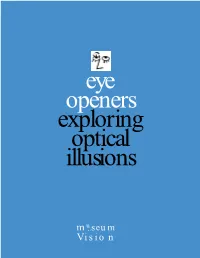 Eye Openers: Exploring Optical Illusions Provides an Enjoyable Learning Experience and Stimulates Interest in the Science of Vision