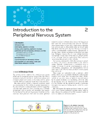 Introduction to the Peripheral Nervous System 2
