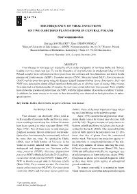 The Occurrence of the Viruses in Narcissus L