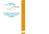 A Guide to Best Practice for Watching Marine Wildlife a Guide to Best Practice for 1 Watching Marine Wildlife