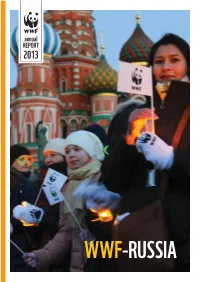 Annual REPORT