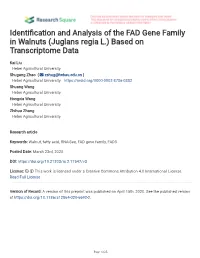 Identification and Analysis of the FAD Gene Family In