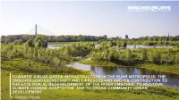 Towards a Blue-Green Infrastructure in the Ruhr