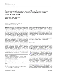 Geometric Morphometrics of Leaves of Anacardium Microcarpum Ducke and A