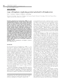 MINI-REVIEW Large Cell Lymphoma Complicating Persistent Polyclonal B