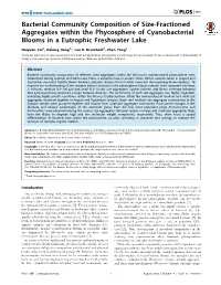 Bacterial Community Composition of Size-Fractioned Aggregates Within the Phycosphere of Cyanobacterial Blooms in a Eutrophic Freshwater Lake