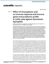 Effect of Chrysophanic Acid on Immune Response And