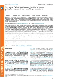 First Report of Phyllosticta Citricarpa and Description of Two New Species, P