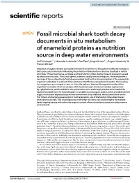 Fossil Microbial Shark Tooth Decay Documents in Situ Metabolism Of