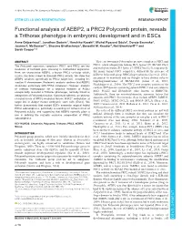 Functional Analysis of AEBP2, a PRC2 Polycomb Protein, Reveals A