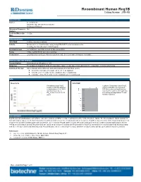 Recombinant Human Reg1b Catalog Number: 2090-RG