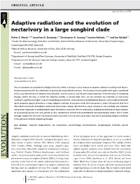 Adaptive Radiation and the Evolution of Nectarivory in a Large Songbird Clade