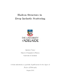 Hadron Structure in Deep Inelastic Scattering