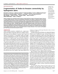 Fragmentation of Andes-To-Amazon Connectivity by Hydropower Dams