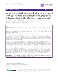Malignant Phyllodes Tumors Display Mesenchymal Stem Cell Features and Aldehyde Dehydrogenase