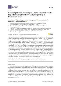 Gene Expression Profiling of Corpus Luteum Reveals Important