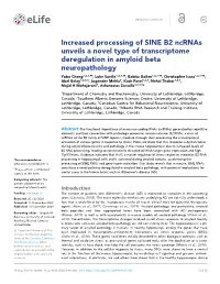 Increased Processing of SINE B2 Ncrnas Unveils a Novel Type Of