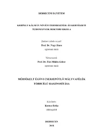 Mérsékelt Égövi Cserjepótló Mályvafélék Többcélú Hasznosítása
