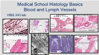 Medical School Histology Basics Blood and Lymph Vessels VIBS 243 Lab Introduction Multicellular Organisms Need 3 Mechanisms ------1