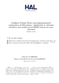 Nonlinear Normal Modes and Multi-Parametric Continuation Of