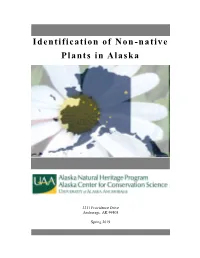 Identification of Non-Native Plants in Alaska