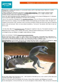 Madagascar - Life in the Rainforest