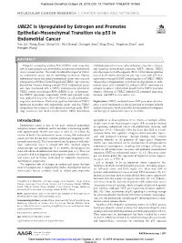 UBE2C Is Upregulated by Estrogen and Promotes Epithelial–Mesenchymal Transition Via P53 in Endometrial Cancer