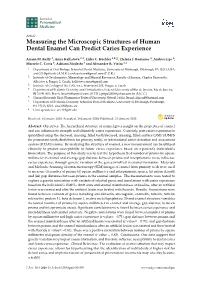 Measuring the Microscopic Structures of Human Dental Enamel Can Predict Caries Experience