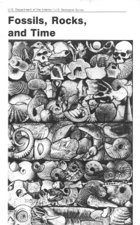 Fossils, Rocks, and Time