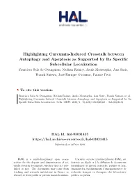 Highlighting Curcumin-Induced Crosstalk Between Autophagy And