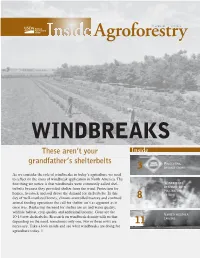 WINDBREAKS These Aren’T Your Inside