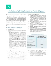 Purification of Igg Using Protein A- Or Protein G-Agarose