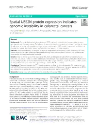 Spatial UBE2N Protein Expression Indicates Genomic Instability In