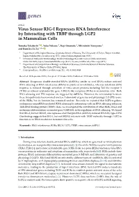 Virus Sensor RIG-I Represses RNA Interference by Interacting with TRBP Through LGP2 in Mammalian Cells