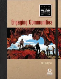 2012–13 Report
