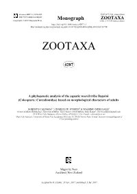 A Phylogenetic Analysis of the Aquatic Weevil Tribe Bagoini (Coleoptera: Curculionidae) Based on Morphological Characters of Adults