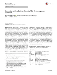 Expression and Localization of Myosin VI in Developing Mouse Spermatids