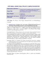 Final Project Completion Report