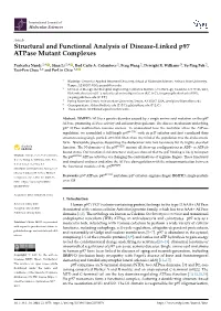 Structural and Functional Analysis of Disease-Linked P97 Atpase Mutant Complexes