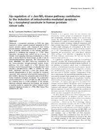 Up-Regulation of C-Jun-NH2-Kinase Pathway Contributes to the Induction of Mitochondria-Mediated Apoptosis by A-Tocopheryl Succinate in Human Prostate Cancer Cells