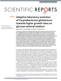 Adaptive Laboratory Evolution of Corynebacterium Glutamicum