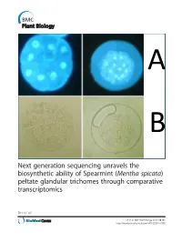 Next Generation Sequencing Unravels the Biosynthetic Ability of Spearmint (Mentha Spicata) Peltate Glandular Trichomes Through Comparative Transcriptomics