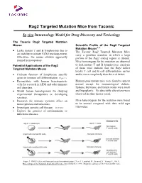 Rag2 Targeted Mutation Mice from Taconic