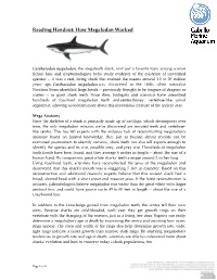 Reading Handout: How Megalodon Worked