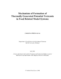 Mechanism of Formation of Thermally Generated Potential Toxicants in Food Related Model Systems