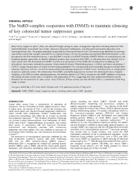 The Nurd Complex Cooperates with Dnmts to Maintain Silencing of Key Colorectal Tumor Suppressor Genes