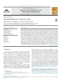 Mechanical Behavior of Micaceous Clays