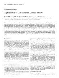 Equiluminance Cells in Visual Cortical Area V4